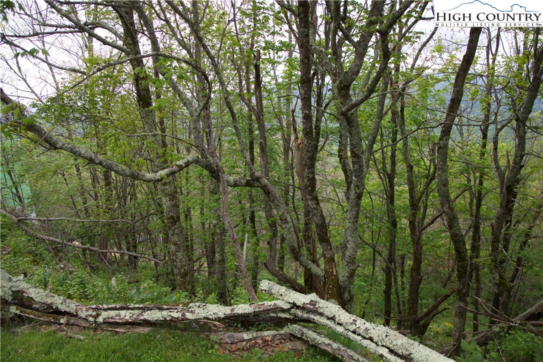 27 Fox Run Road Banner Elk, NC 28604 - Photo 8 of 8
