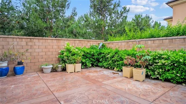 a view of a garden with potted plants