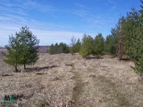 0 Remainder Kelch Road Mayville, MI 48744 - Photo 2 of 3 884896-1.JPG