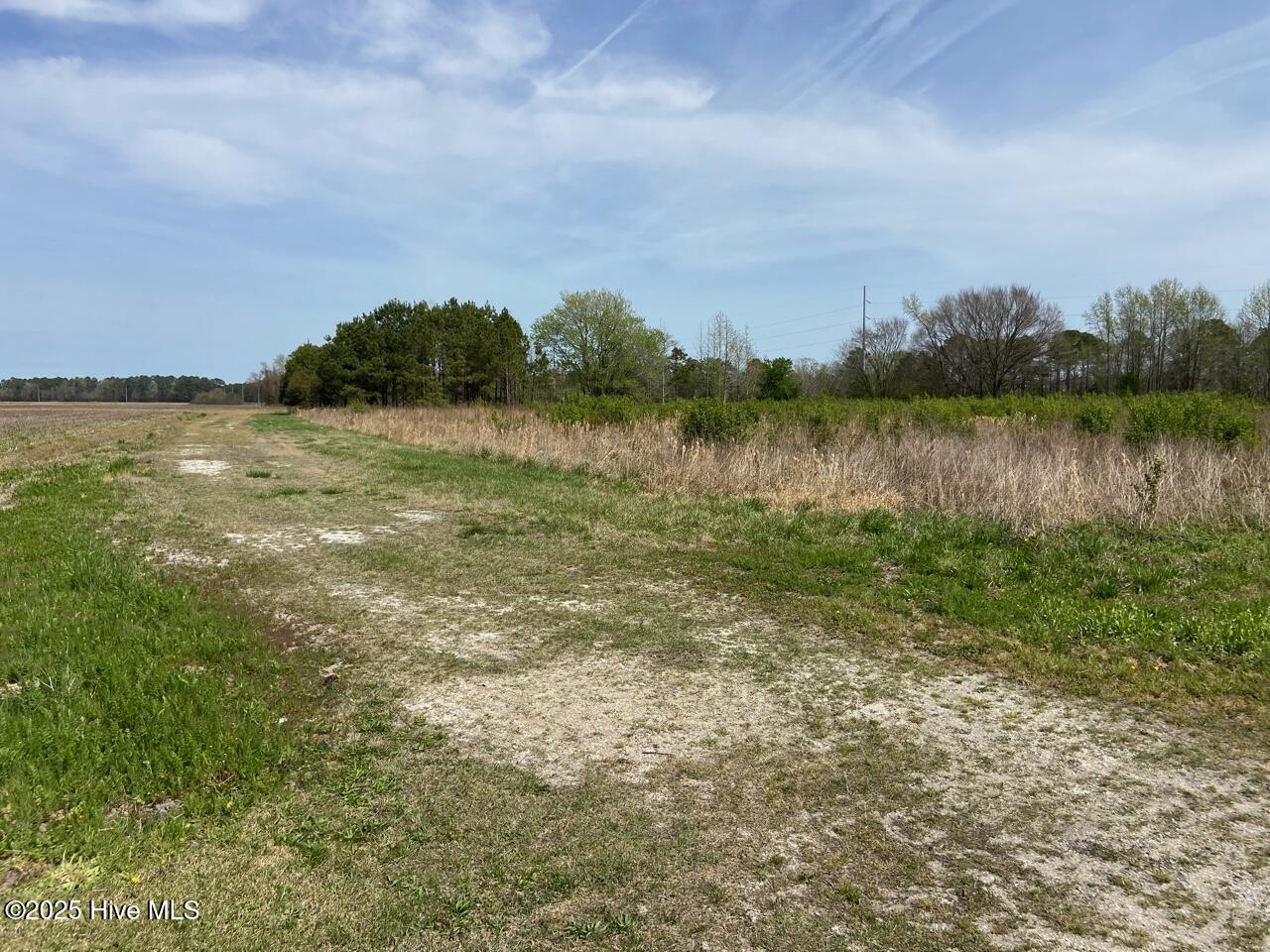 144 Horseshoe Road South Mills, NC 27976 - Photo 9 of 13 2AA16D61-D337-4A19-AF86-E262E1848B8B