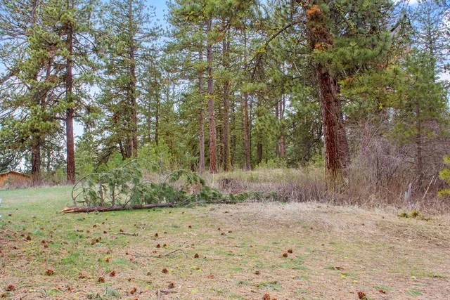 $214,950 | L1-b3 Opal Drive, Unit 1, Cascade, ID 83611