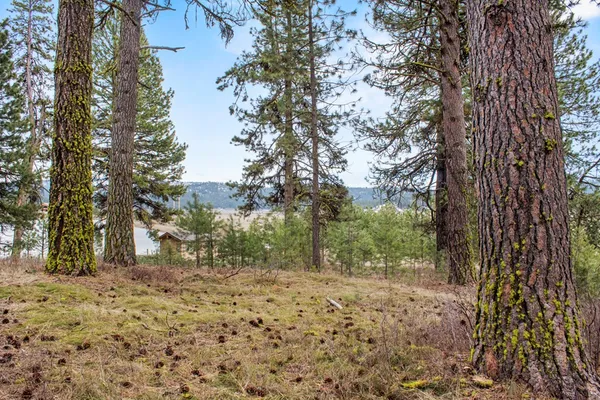 $214,950 | L1-b3 Opal Drive, Unit 1, Cascade, ID 83611