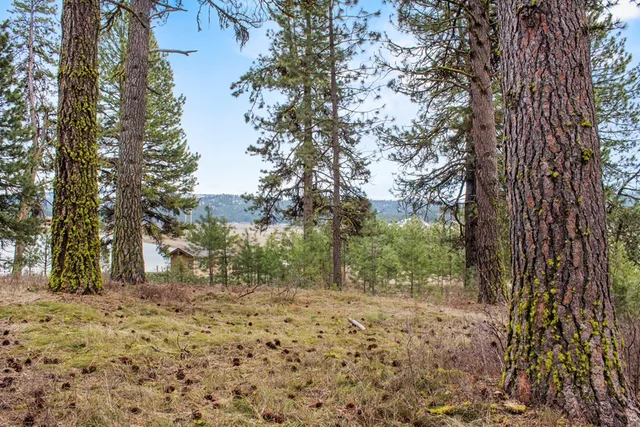 $214,950 | L1-b3 Opal Drive, Unit 1, Cascade, ID 83611