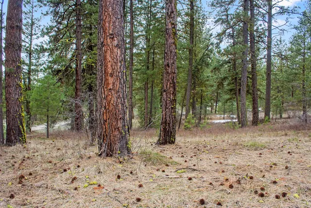 $214,950 | L1-b3 Opal Drive, Unit 1, Cascade, ID 83611