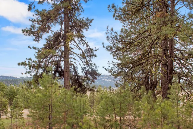 $214,950 | L1-b3 Opal Drive, Unit 1, Cascade, ID 83611