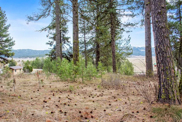 $214,950 | L1-b3 Opal Drive, Unit 1, Cascade, ID 83611