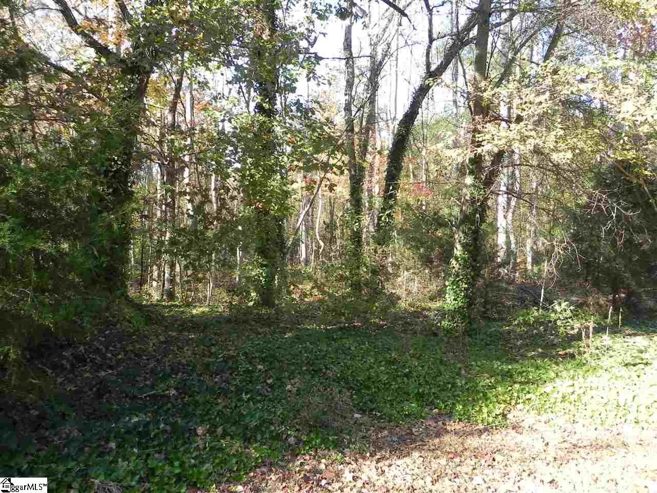 947 Mountain Shoals Road Enoree, SC 29335 - Photo 22 of 26