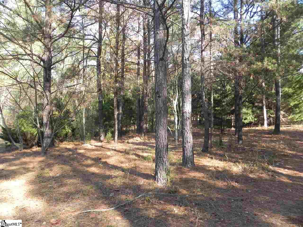 947 Mountain Shoals Road Enoree, SC 29335 - Photo 26 of 26