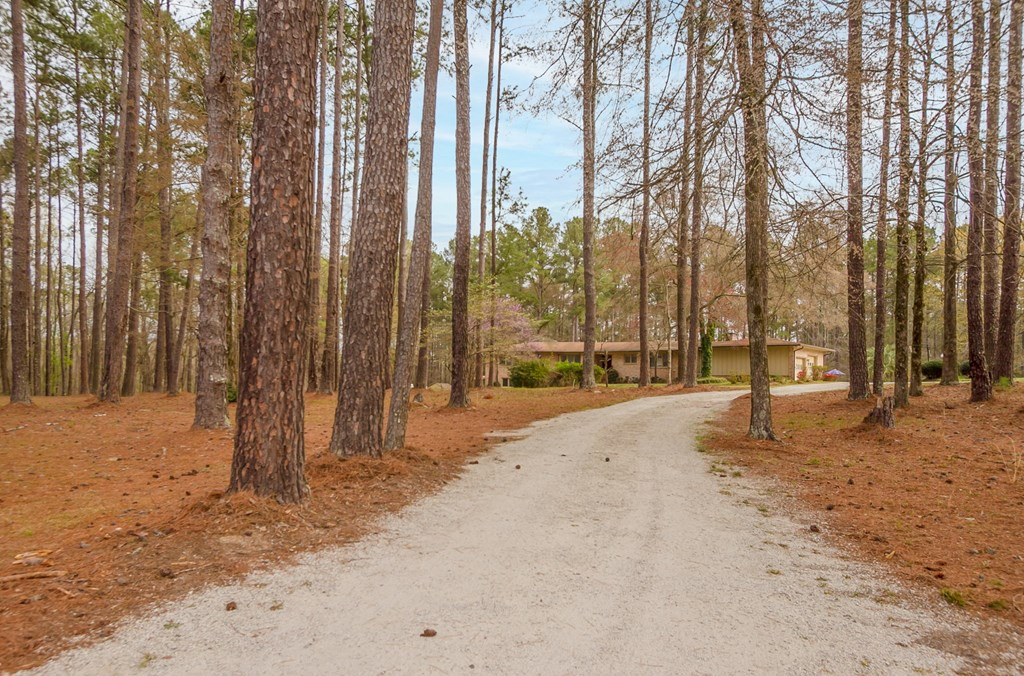911 Halali Farm Road Evans, GA 30809 - Photo 2 of 72