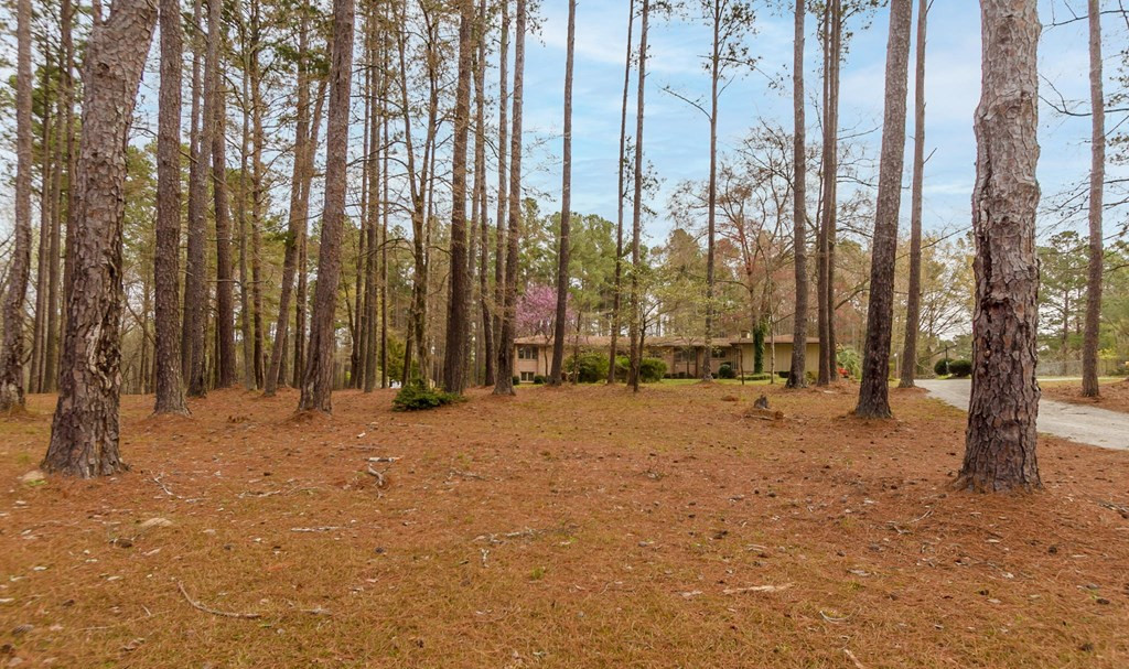 911 Halali Farm Road Evans, GA 30809 - Photo 71 of 72