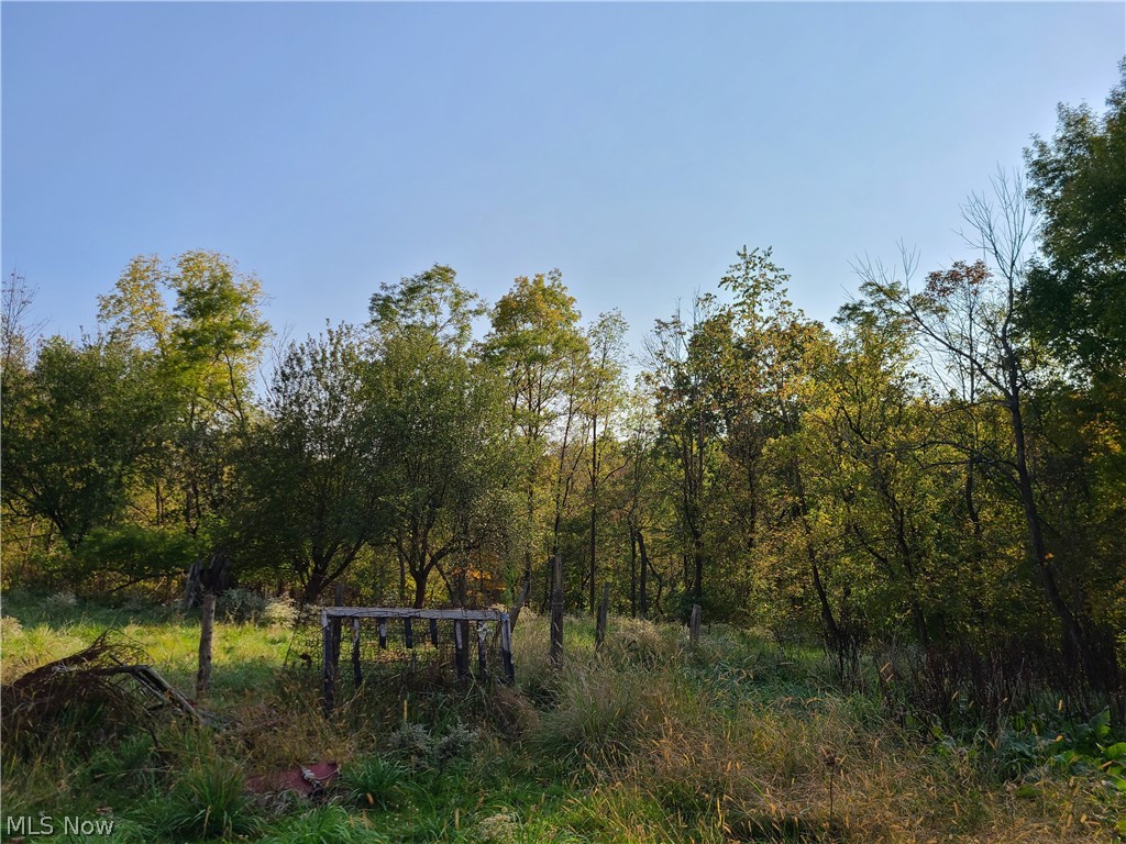 Redbud Road Dresden, OH 43821 - Photo 6 of 10