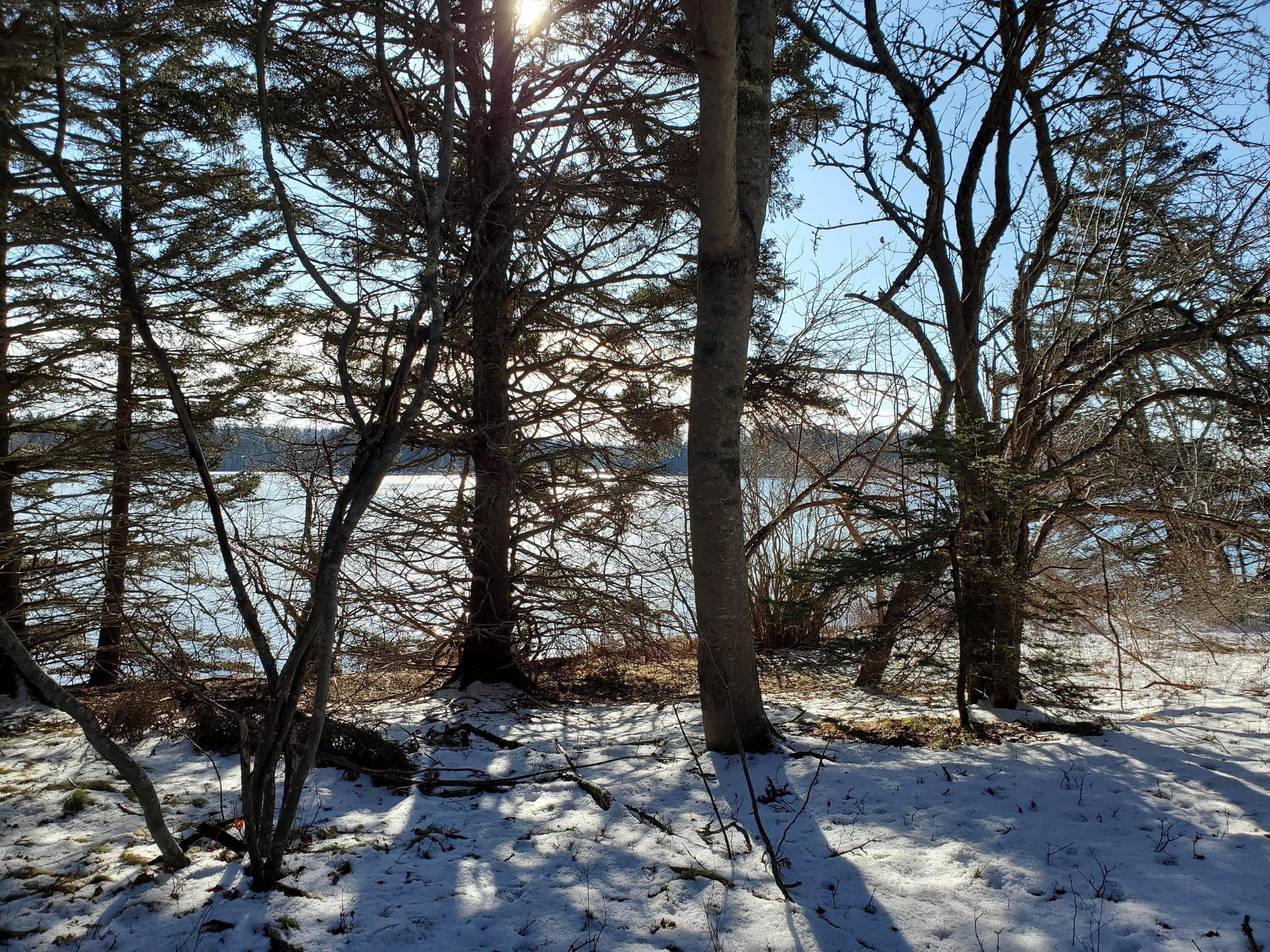 Lot 13-3 Dunham Point Road Deer Isle, ME 04627 - Photo 10 of 21 20200124_103152