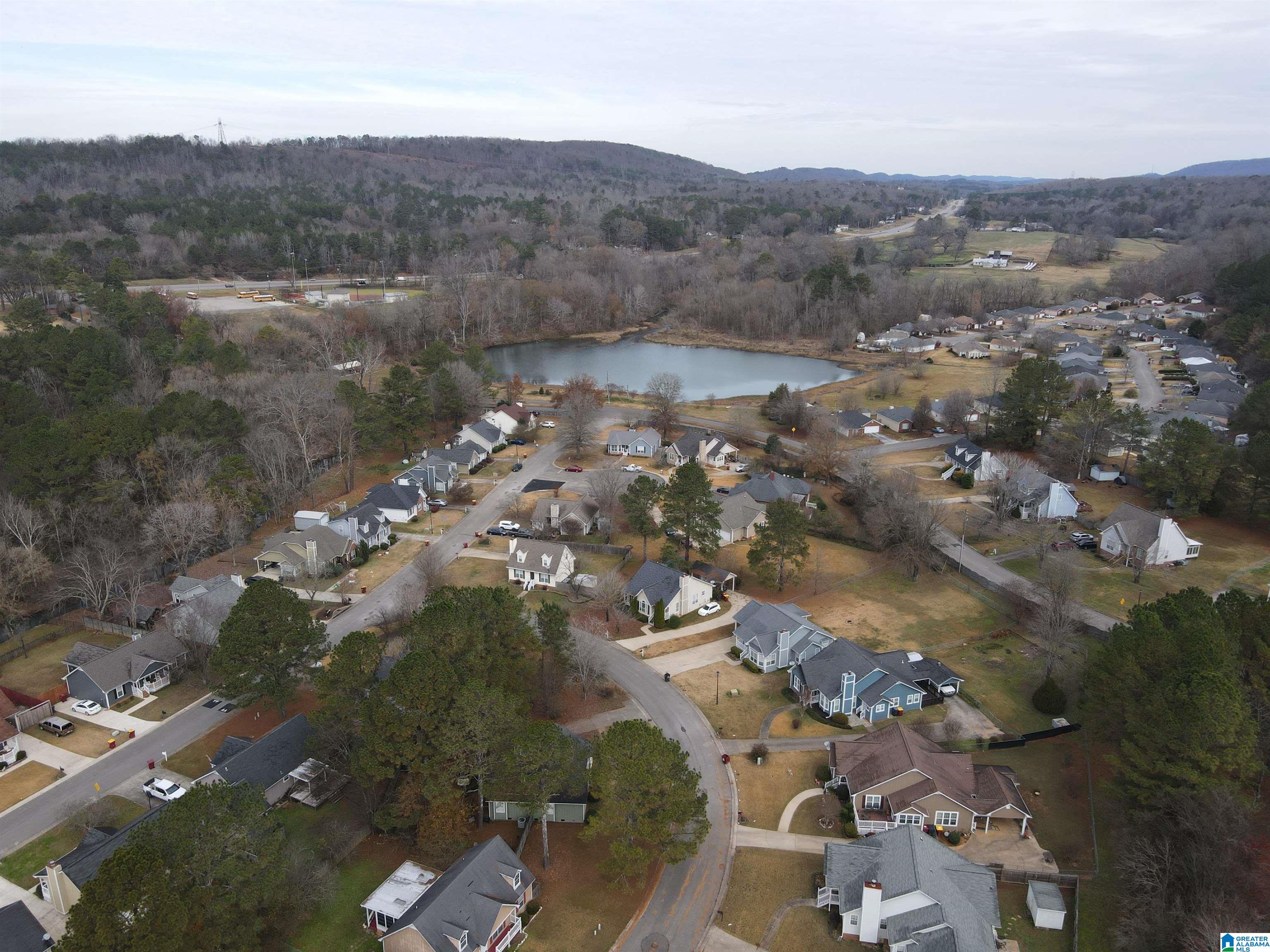 6733 Crossbrook Lane Pinson, AL 35126 - Photo 3 of 20