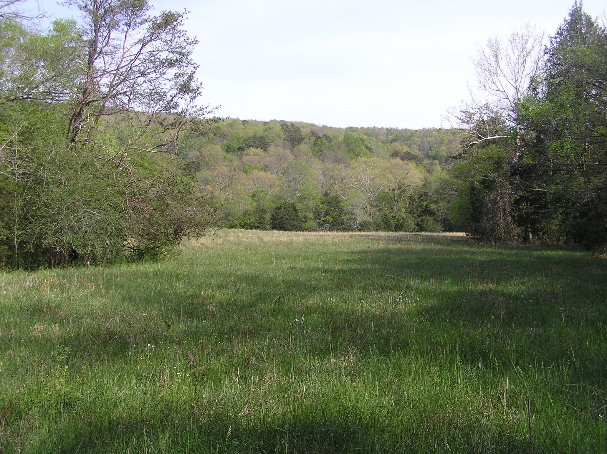 4114 Lower East Valley Road Dunlap, TN 37327 - Photo 8 of 100