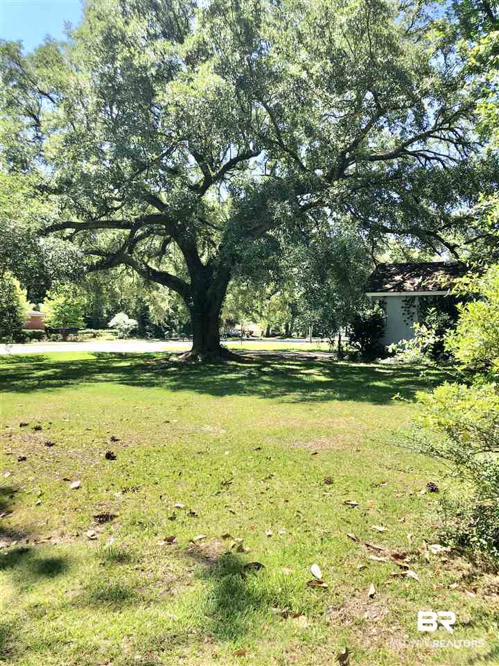 711 North Pine Street Foley, AL 36535 - Photo 3 of 15