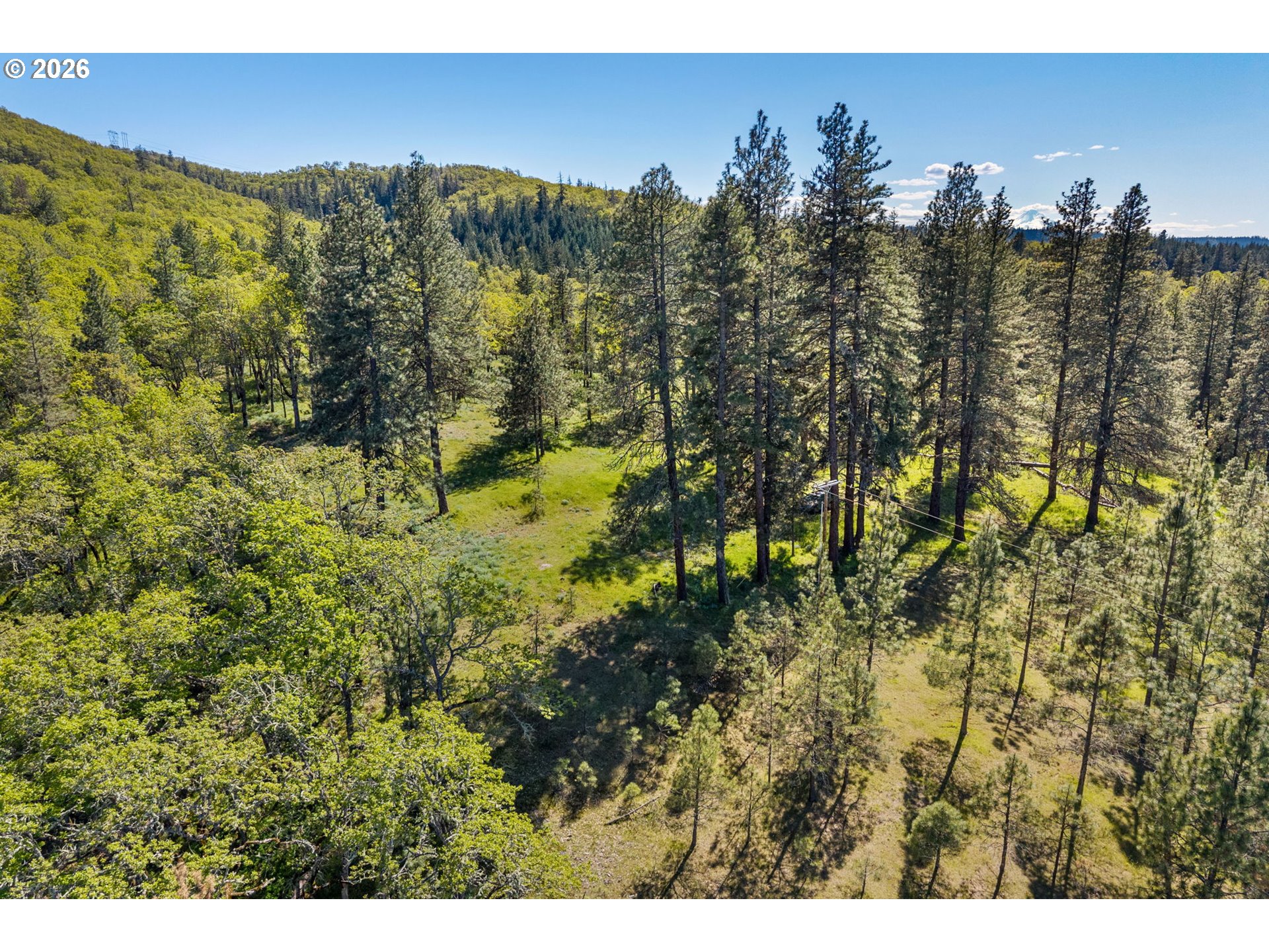 370 Rowland Road Lyle, WA 98635 - Photo 4 of 26 Gallery Image 4