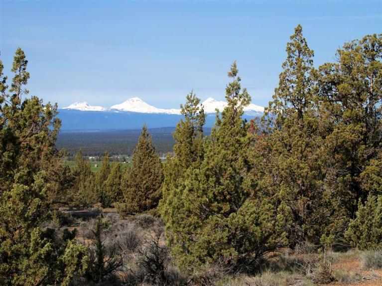 0 Southwest Reif Road Powell Butte, OR 97753 - Photo 1 of 12 Primary Photo