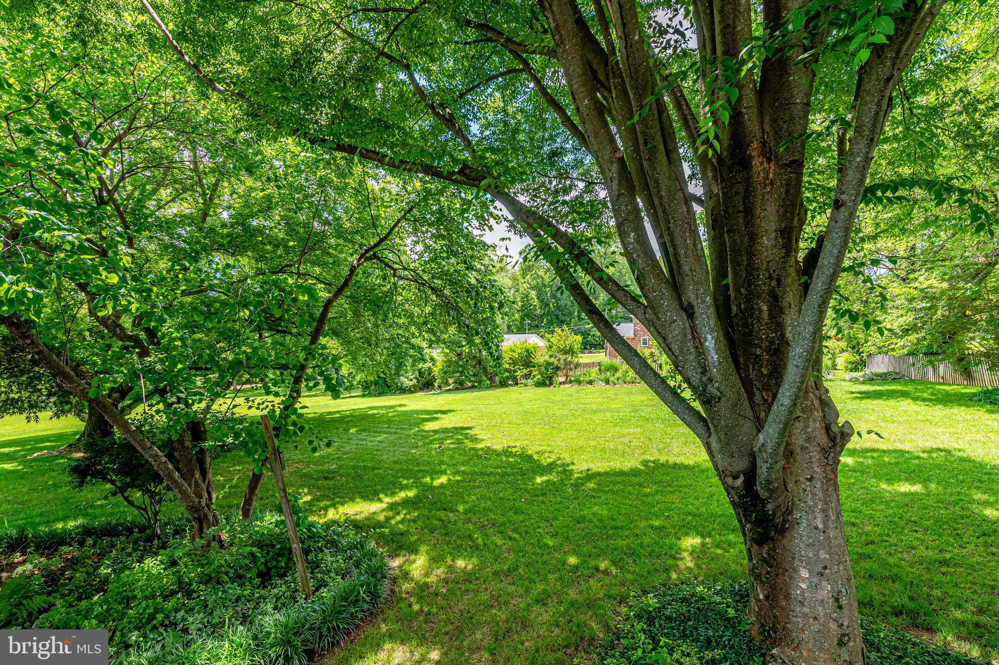 11605 Vale Road Oakton, VA 22124 - Photo 58 of 68 Views from the Deck
