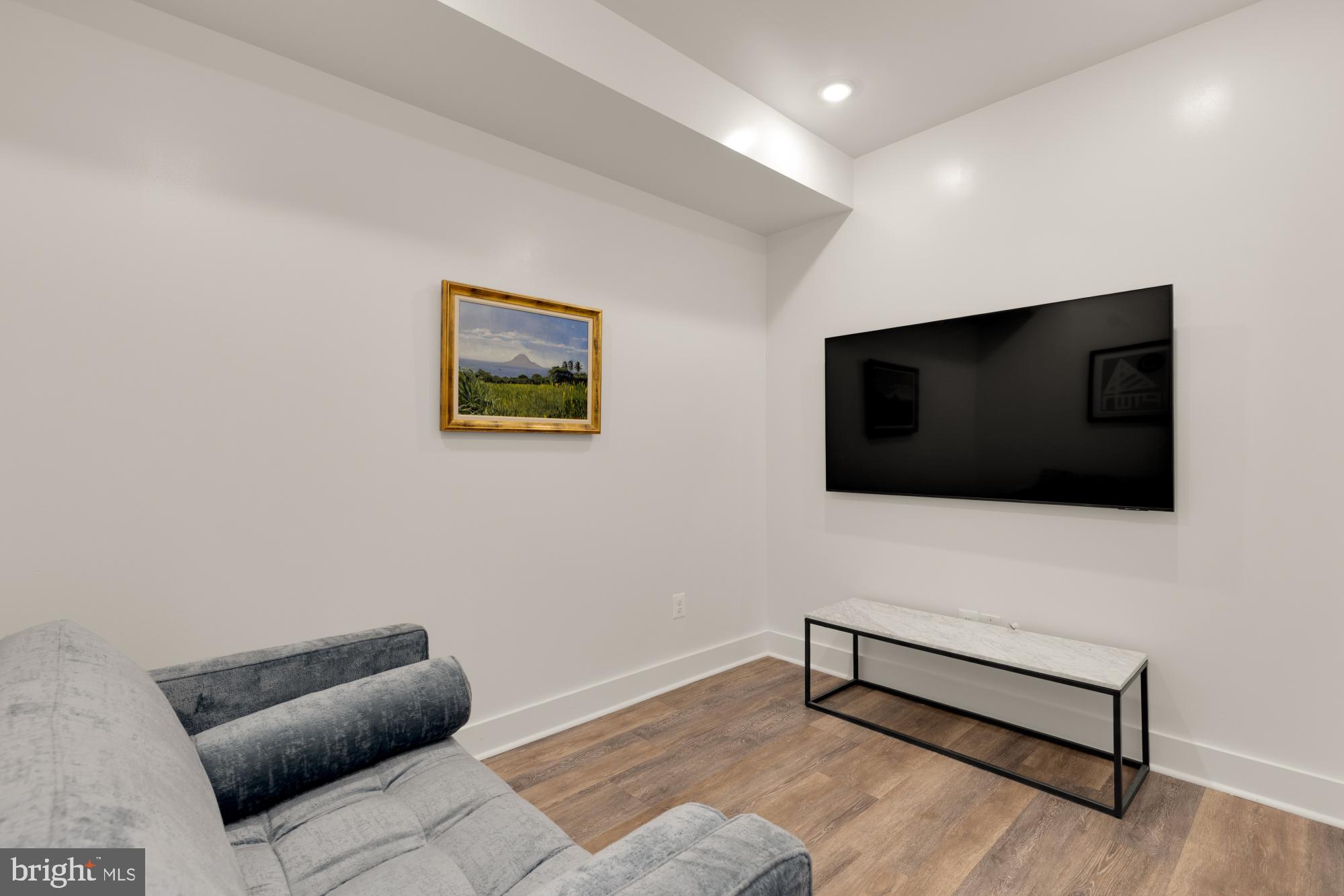 81 U Street Northwest, Unit A Washington, DC 20001 - Photo 42 of 46 a living room with furniture and a flat screen tv