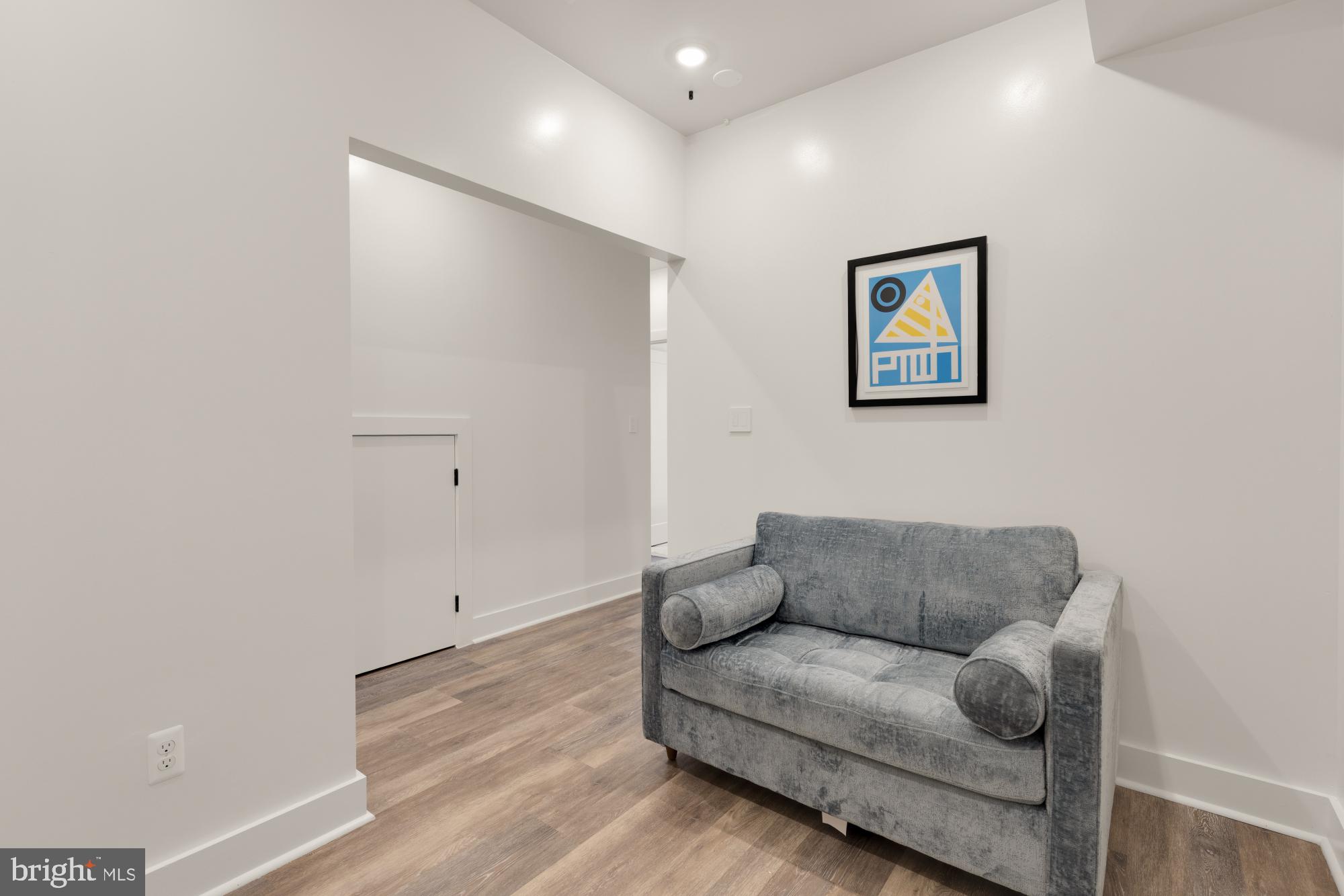 81 U Street Northwest, Unit A Washington, DC 20001 - Photo 43 of 46 a living room with furniture and a couch