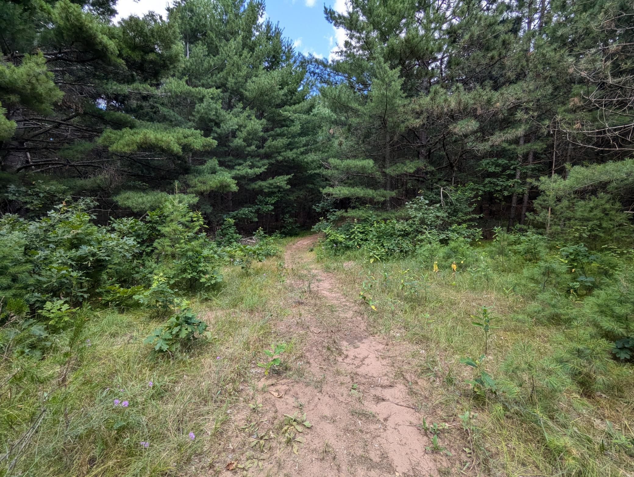 Lot 5 Fosmo Webster, WI 54893 - Photo 1 of 16 Gallery Image 1