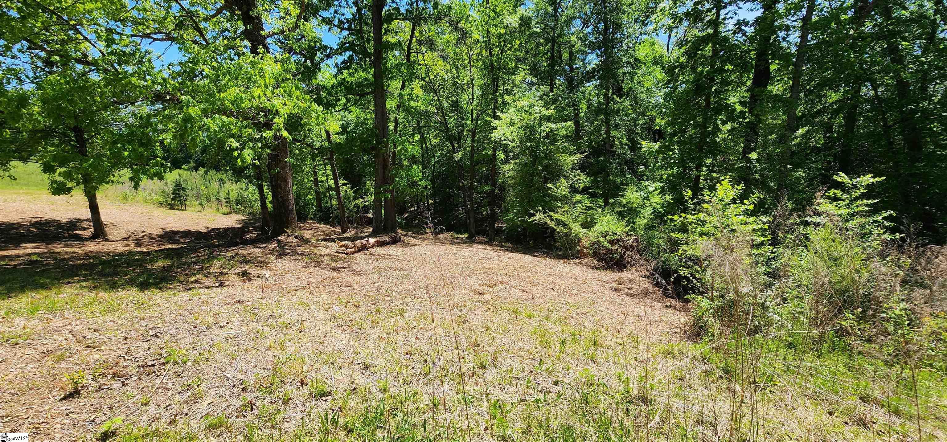 Whitmire Church Road Tamassee, SC 29686 - Photo 11 of 14 Gallery Image 11