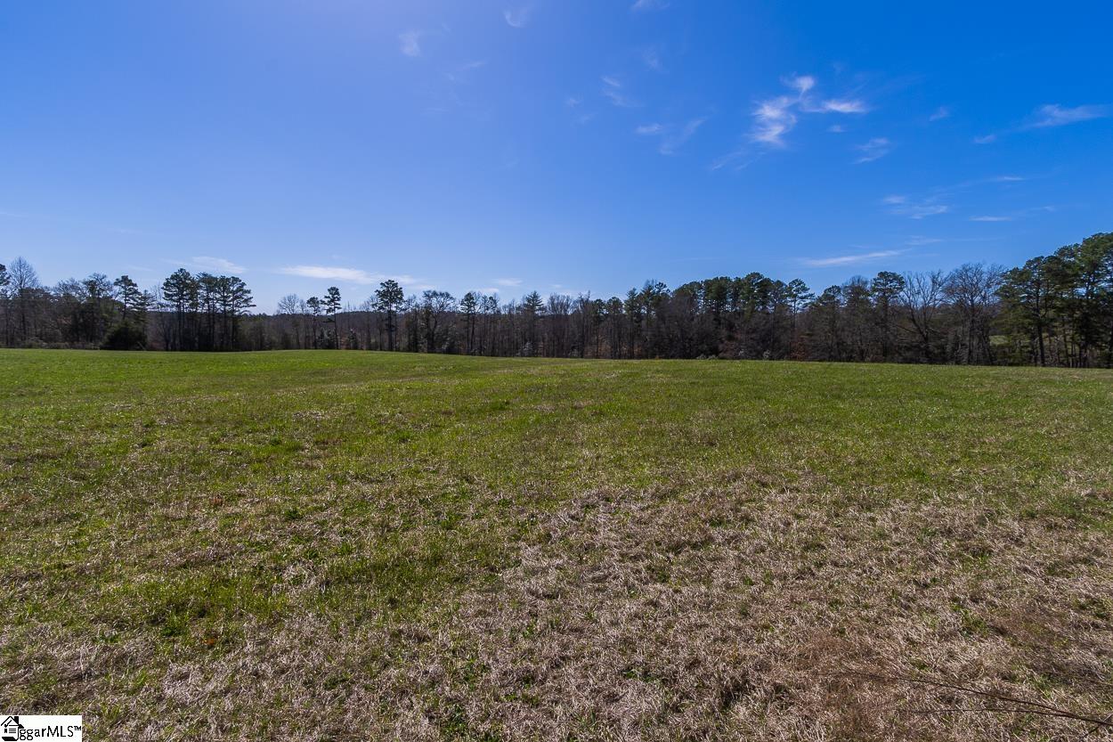 Whitmire Church Road Tamassee, SC 29686 - Photo 5 of 14 Gallery Image 5
