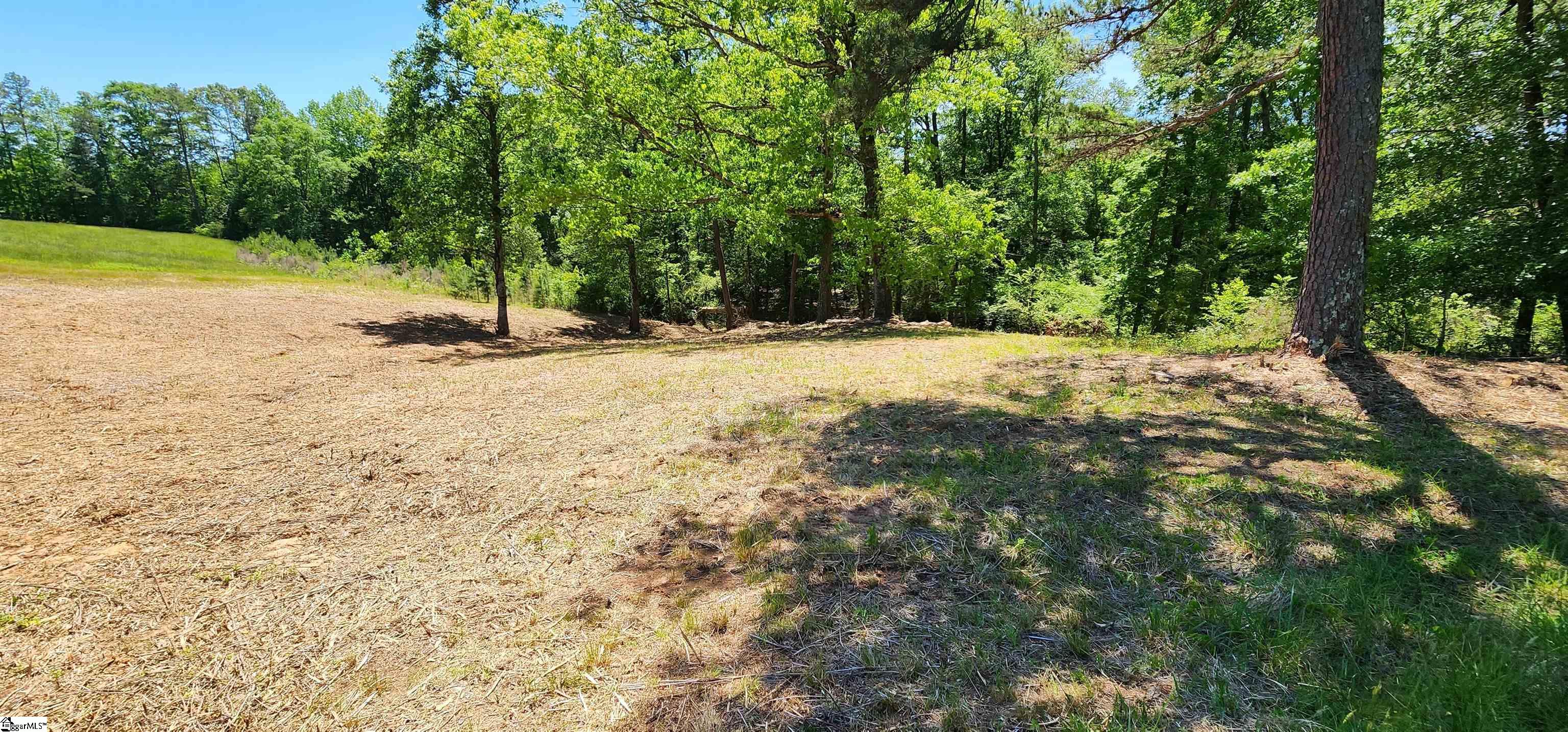 Whitmire Church Road Tamassee, SC 29686 - Photo 8 of 14 Gallery Image 8