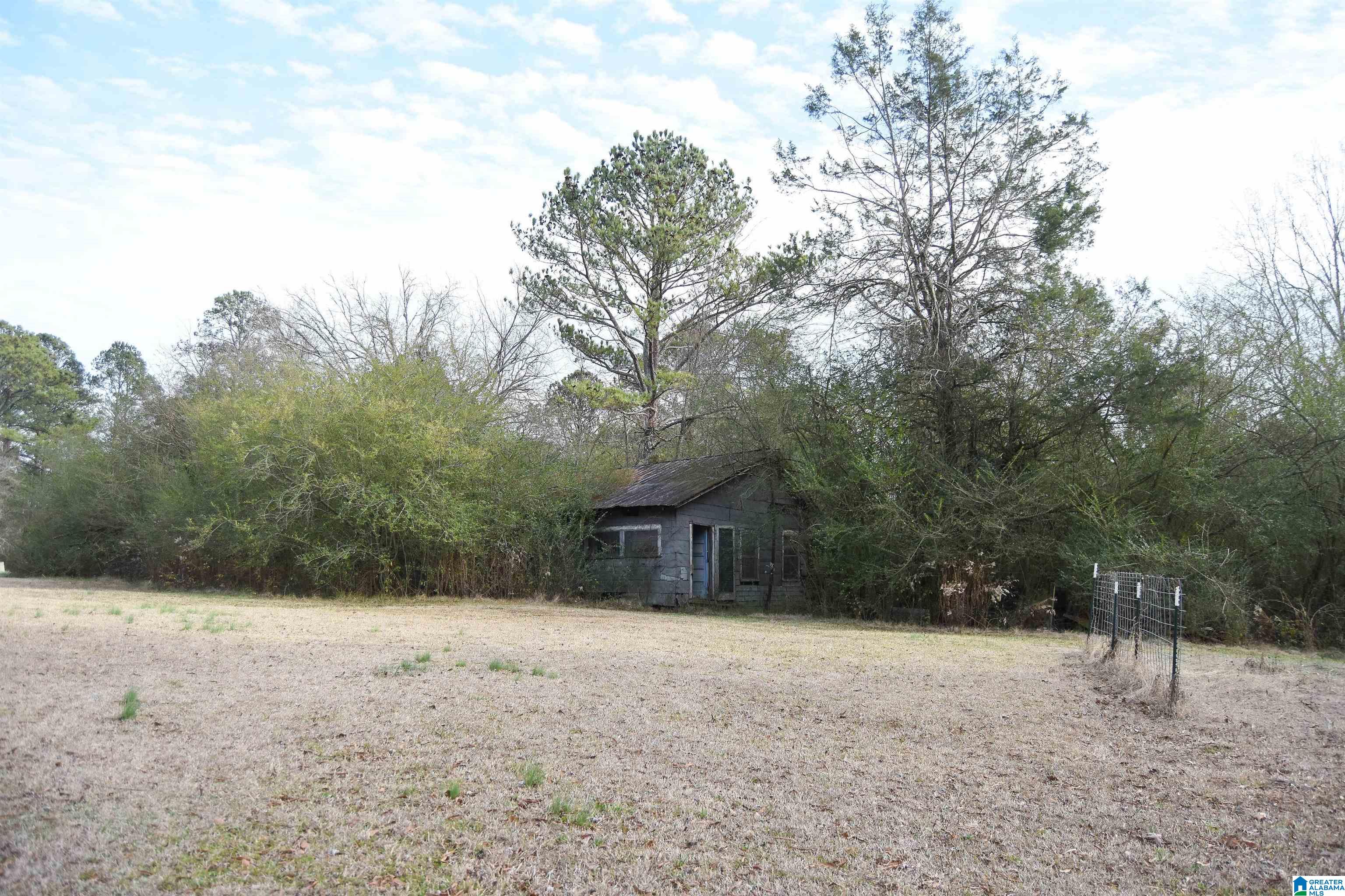 411 Holland-Finley Road Jacksonville, AL 36265 - Photo 62 of 68 Gallery Image 62