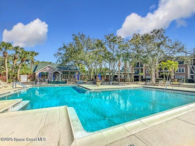 7667 North Wickham Road, Unit 1215 Melbourne, FL 32940 - Photo 22 of 31 a view of swimming pool and trees in the background
