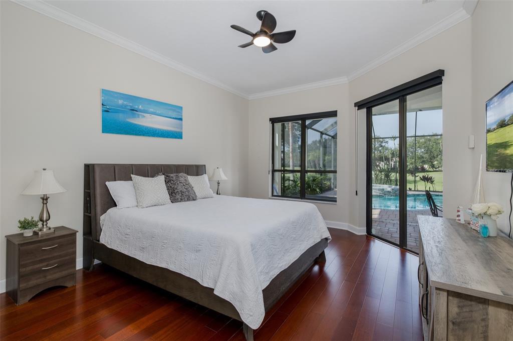 1429 El Pardo Drive Trinity, FL 34655 - Photo 27 of 100