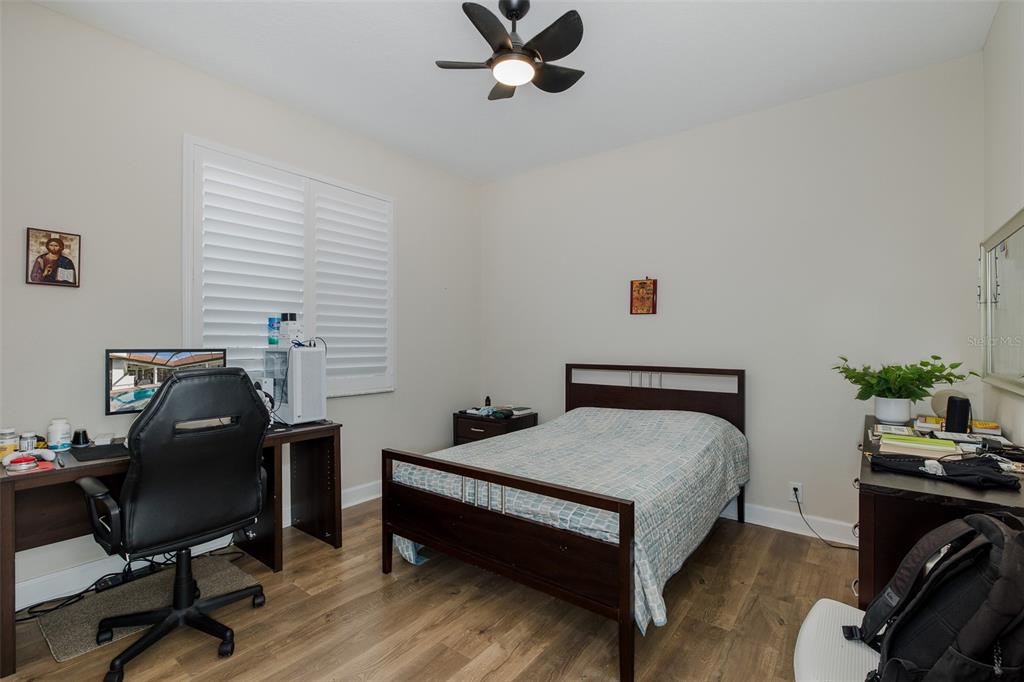 1429 El Pardo Drive Trinity, FL 34655 - Photo 37 of 100