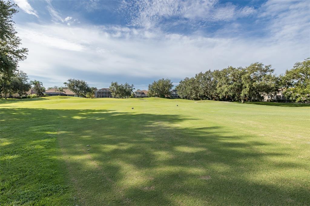 1429 El Pardo Drive Trinity, FL 34655 - Photo 64 of 100