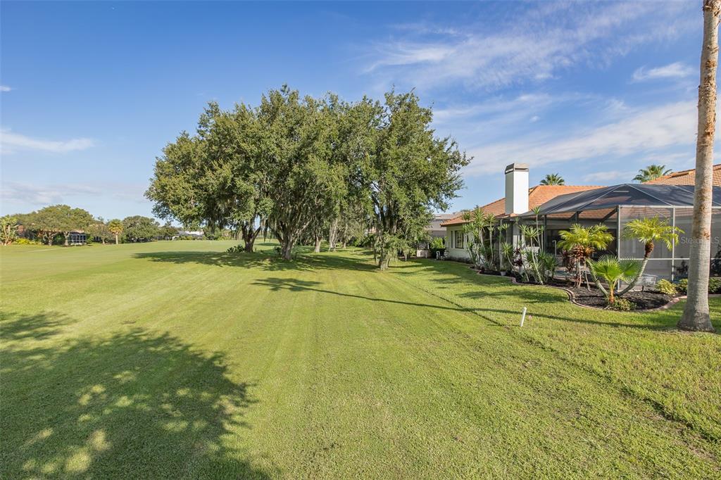 1429 El Pardo Drive Trinity, FL 34655 - Photo 67 of 100