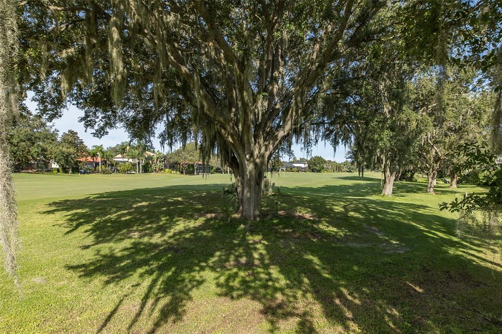 1429 El Pardo Drive Trinity, FL 34655 - Photo 68 of 100