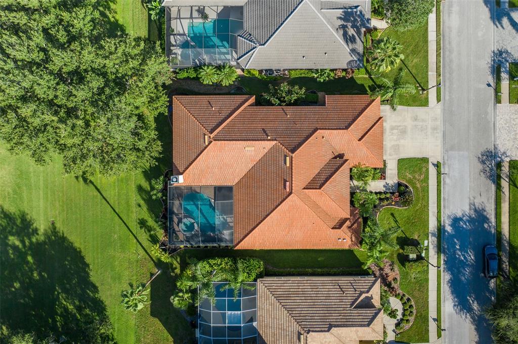 1429 El Pardo Drive Trinity, FL 34655 - Photo 80 of 100