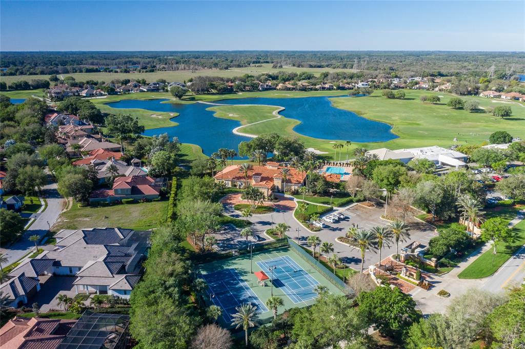1429 El Pardo Drive Trinity, FL 34655 - Photo 88 of 100 an aerial view of residential houses with outdoor space and swimming pool