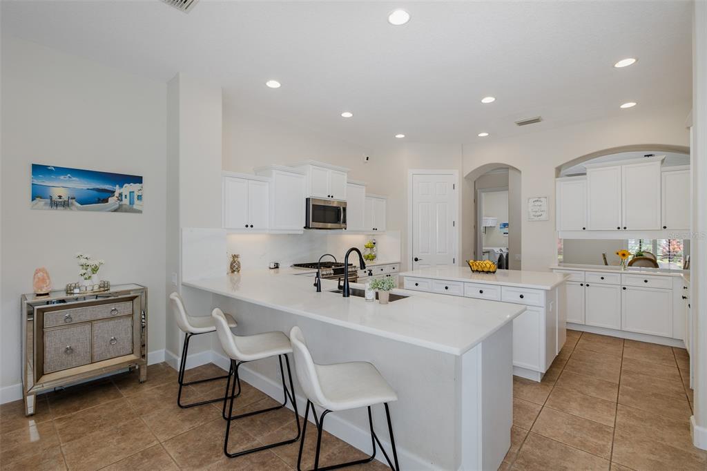 1429 El Pardo Drive Trinity, FL 34655 - Photo 10 of 100