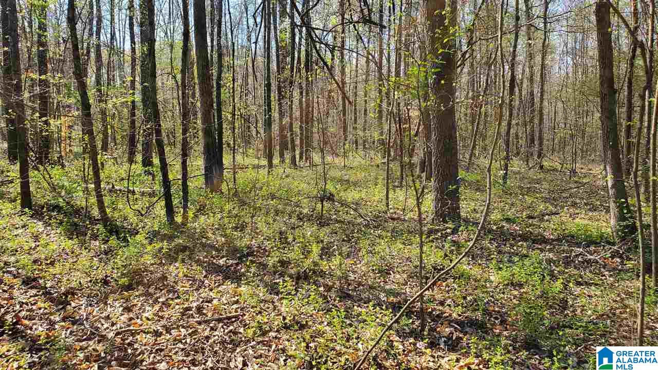 4356 Richeytown Road, Unit 1 Oxford, AL 36203 - Photo 3 of 10