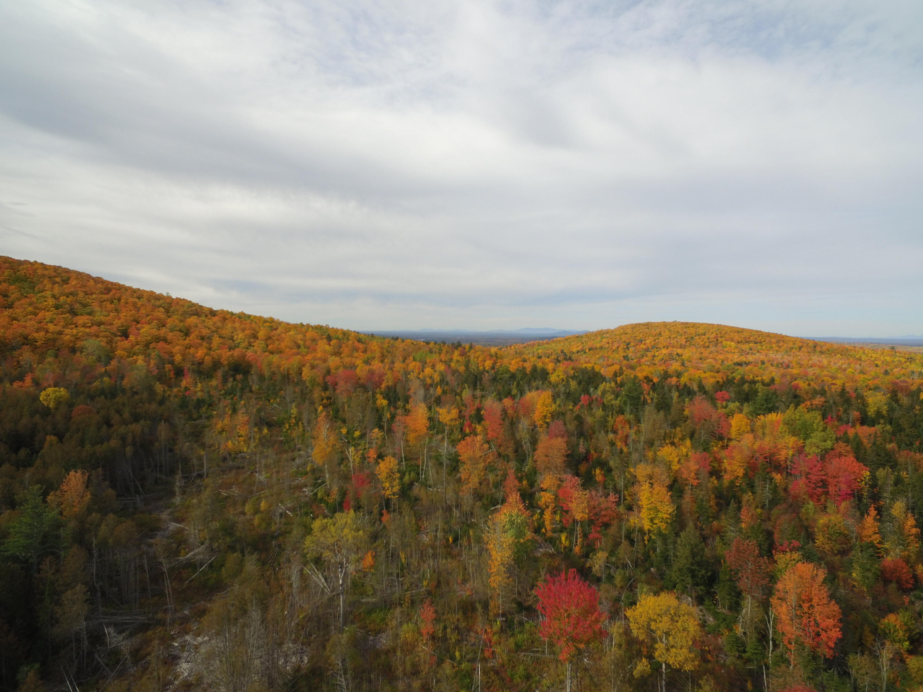 53 Map Road Lincoln, ME 04457 - Photo 9 of 10 DJI_0230