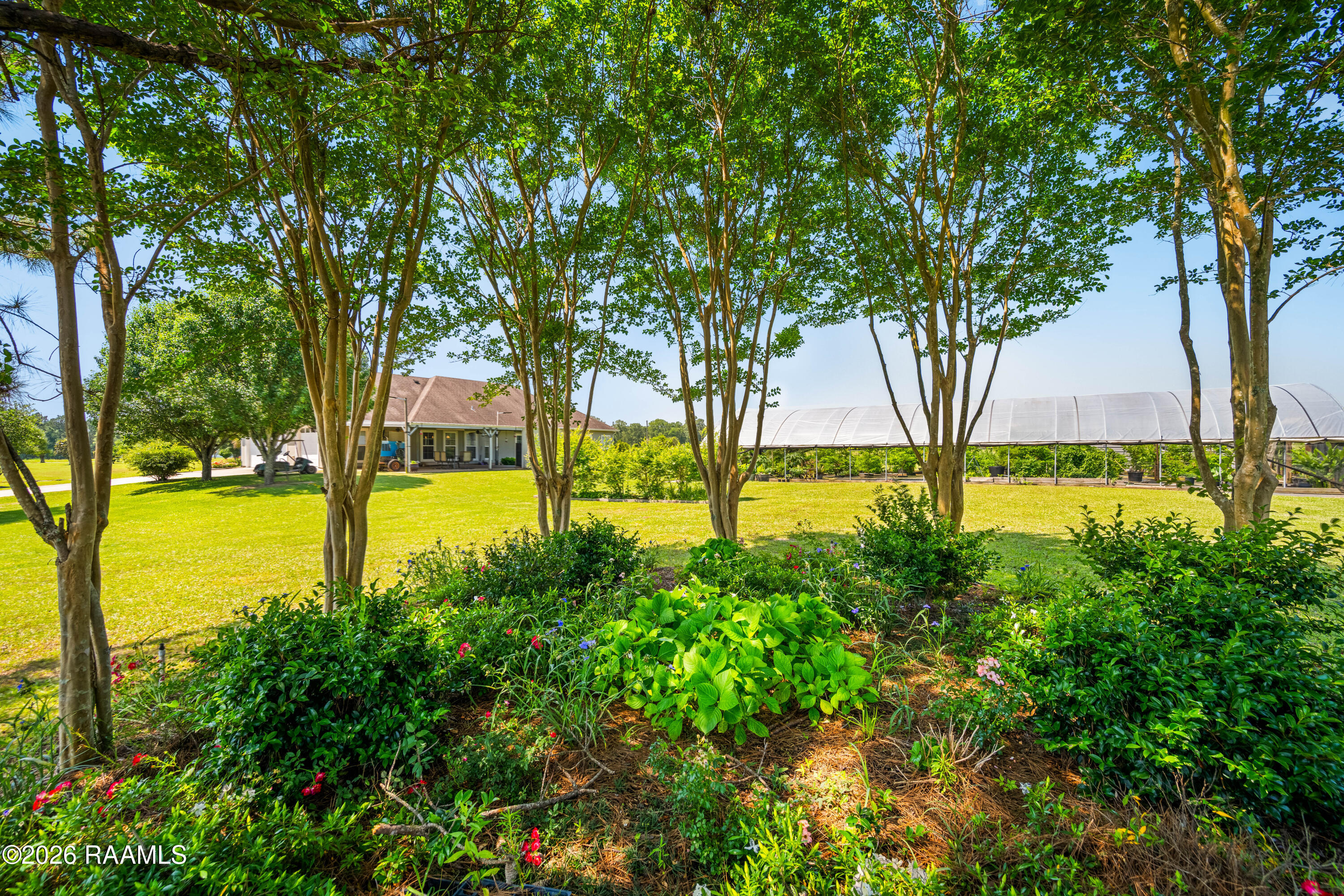 421 Sugartown Road Elmer, LA 71424 - Photo 33 of 40 DSC_7648