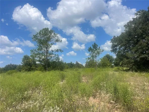$279,900 | Tbd Keene Road, Altoona, FL 32702