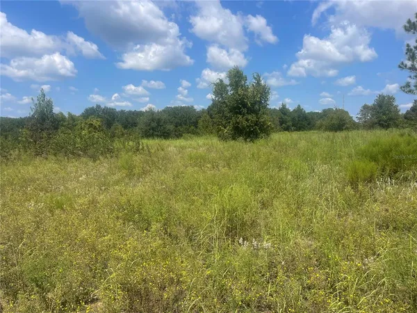 $279,900 | Tbd Keene Road, Altoona, FL 32702