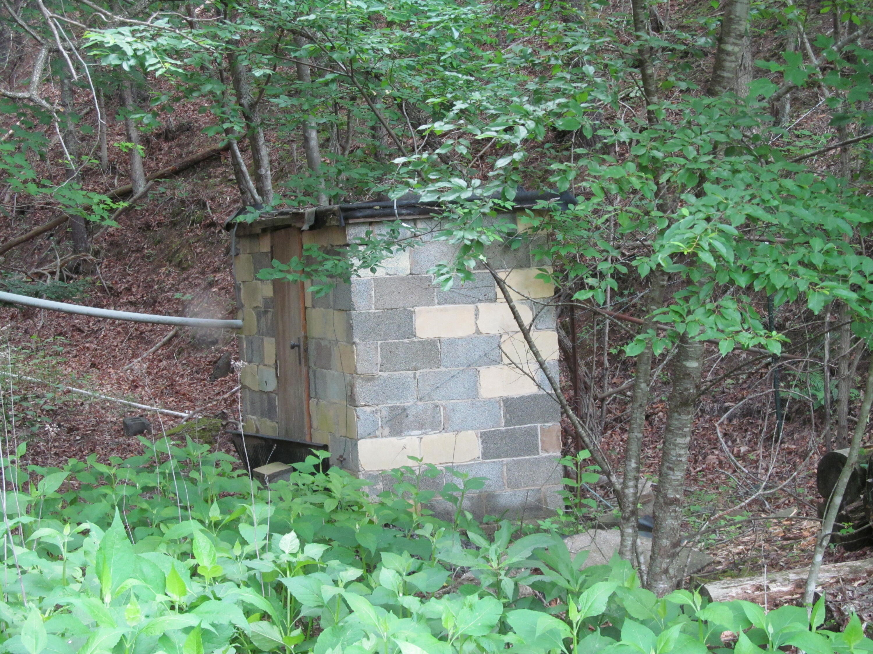 2419 Redbud Road Covington, VA 24426 - Photo 2 of 12 IMG_5556