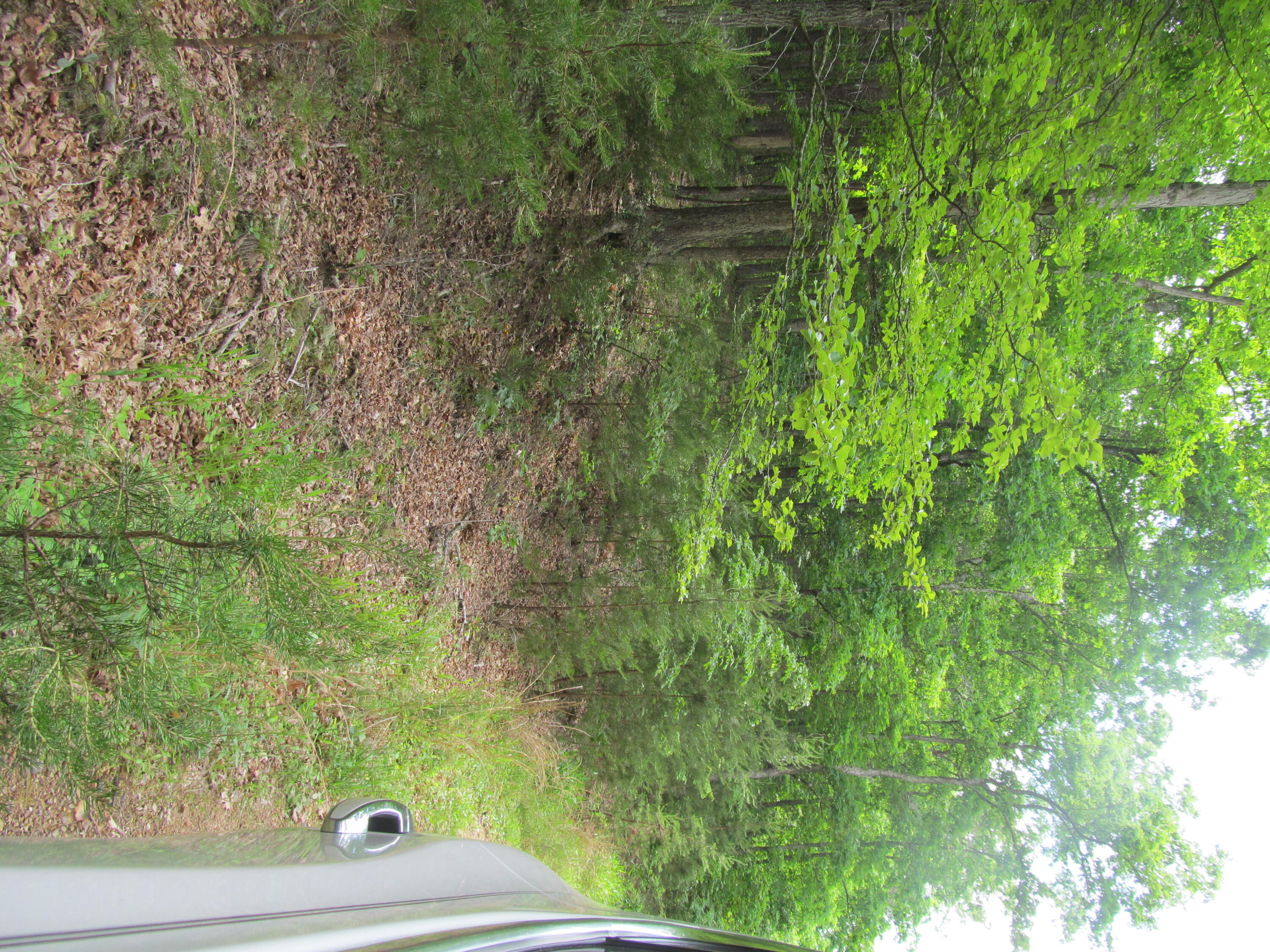 2419 Redbud Road Covington, VA 24426 - Photo 7 of 12 IMG_5564