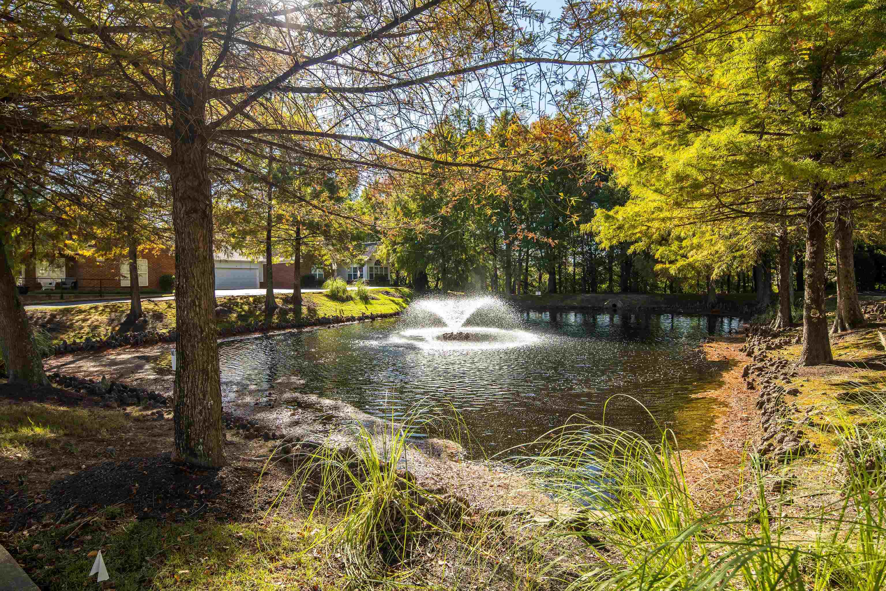 43 Peyton Ridge Drive, Unit 40 Collierville, TN 38017 - Photo 31 of 31 a view of a yard with trees in the background