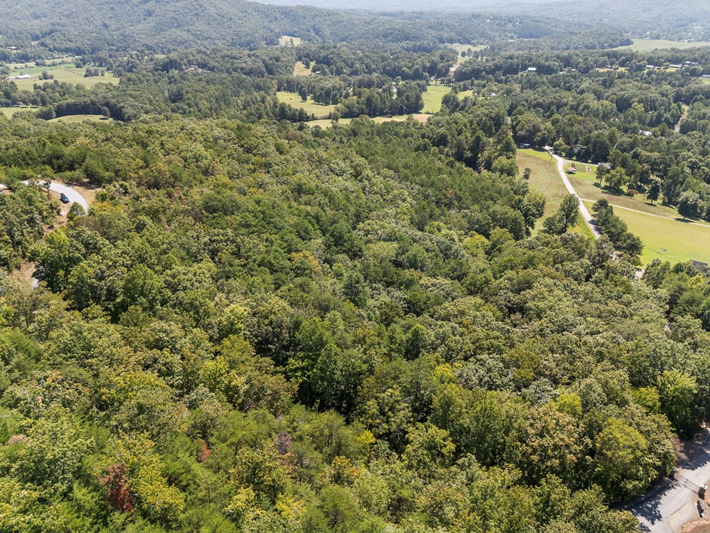 6.36 Bergan Moore Road Murphy, NC 28906 - Photo 5 of 24