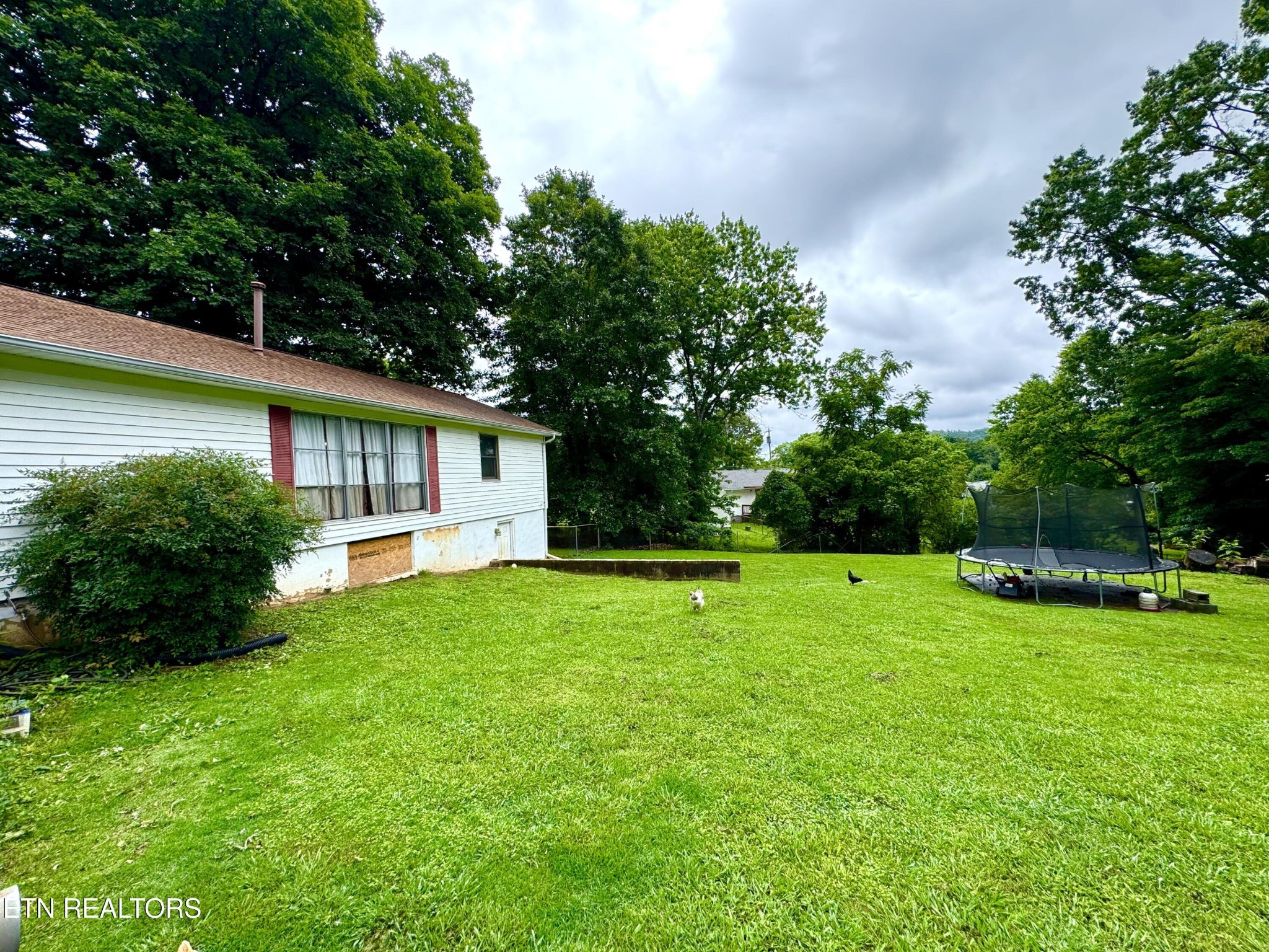 103 Albany Road Oak Ridge, TN 37830 - Photo 2 of 15 Gallery Image 2