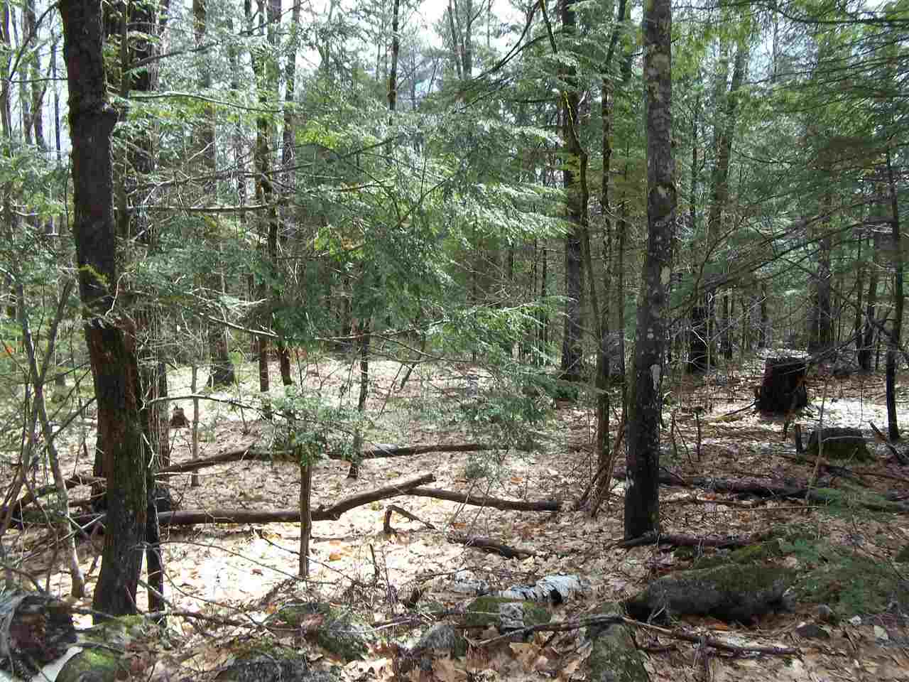 Hill Road Center Conway, NH 03813 - Photo 11 of 14