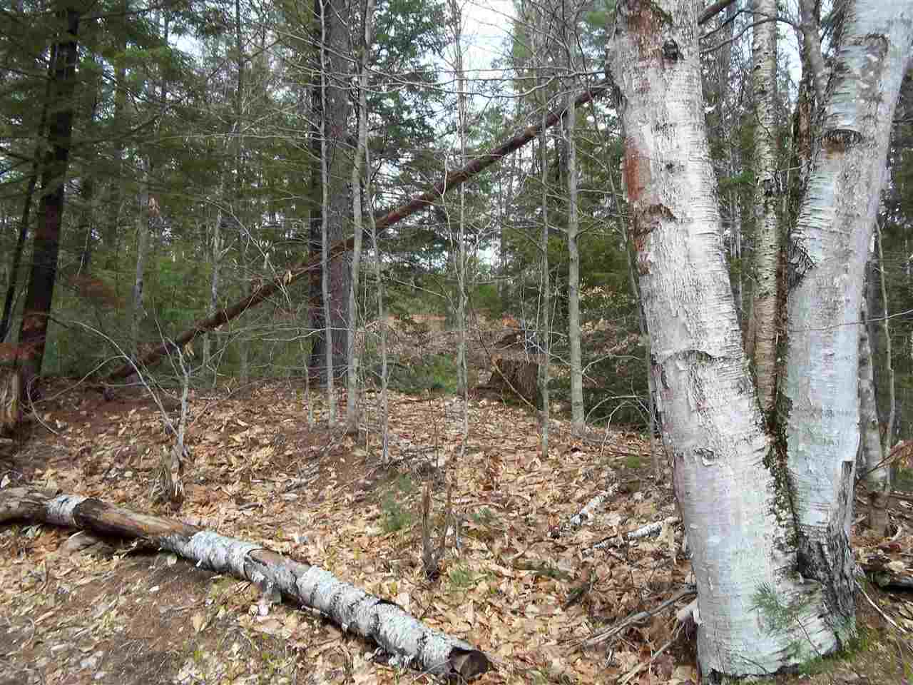 Hill Road Center Conway, NH 03813 - Photo 12 of 14